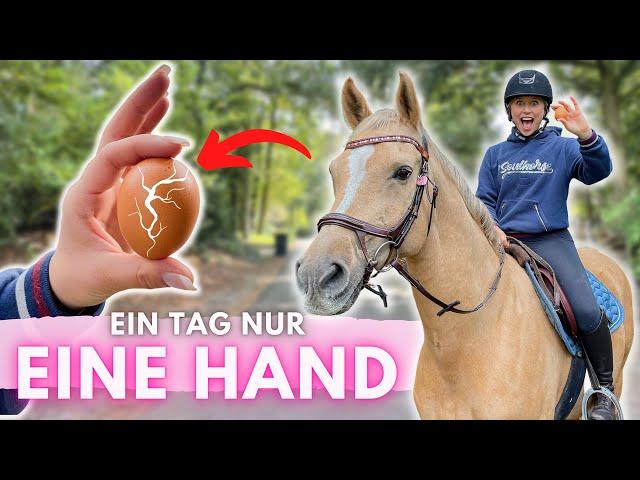 NUR EINE HAND IM STALL BENUTZEN