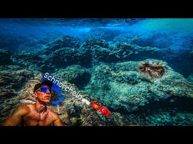Schnorcheln in der Türkei / Side Vlog Schnorcheln, Tauchen Unterwasser 4K