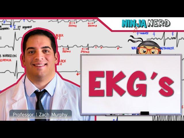 Cardiovascular | EKG's