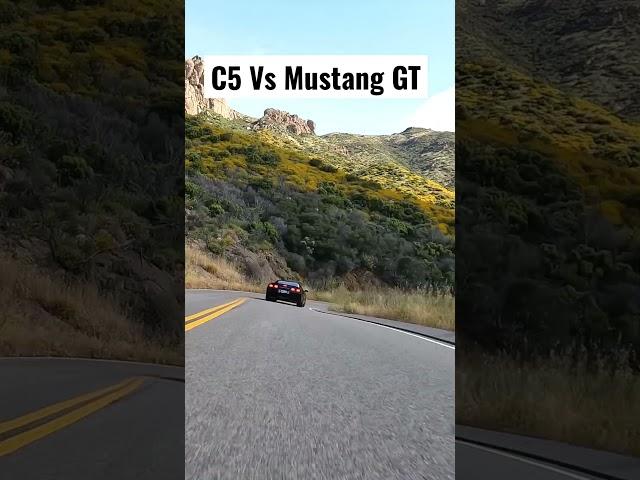 C5 Vs Mustang GT in the Canyons #geekswithcars #car #c5z06 #omegagreed #sportscar