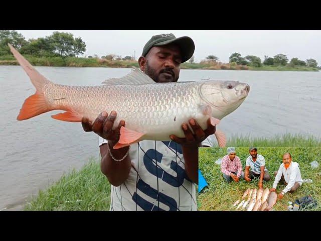 Fish Catching Video | Big Carp Fishing | Unbelievable Fishess Catching