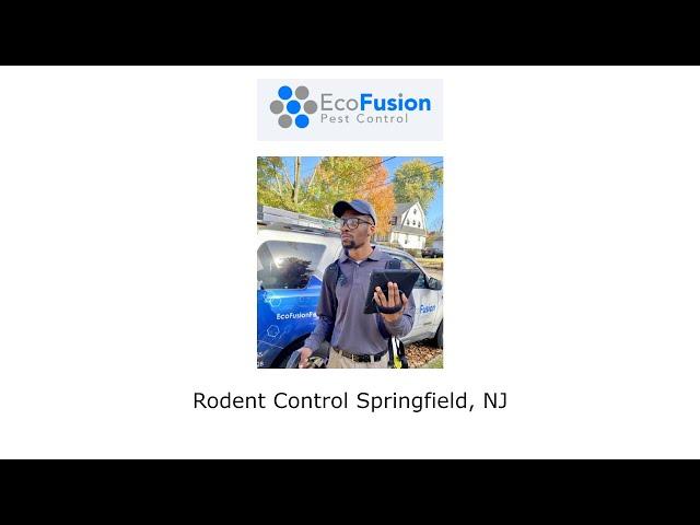 Rodent Control Springfield, NJ - EcoFusion Pest Control