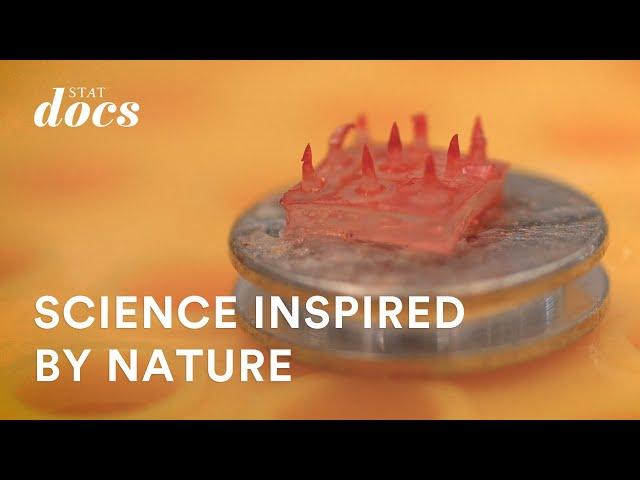 Glue like a snail’s trail: Turning to nature for surgical innovations