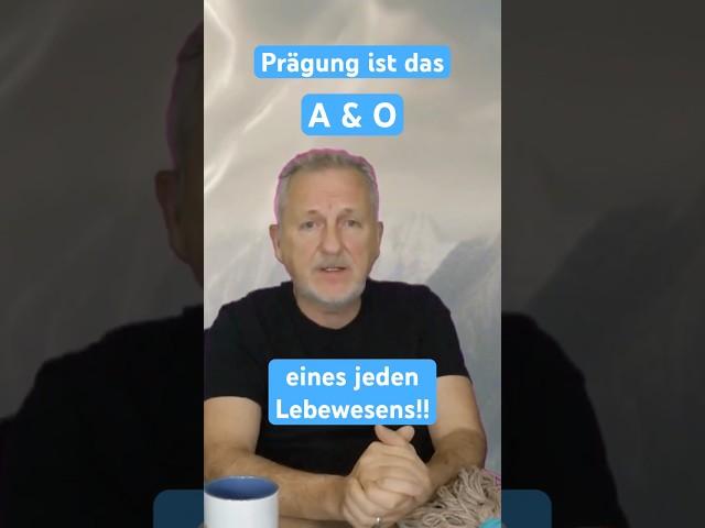 Prägung - wichtigstes Element der Menschen!!