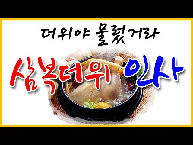 삼복(초복, 중복, 말복)더위 인사, 여름을 건강하게,  삼계탕, 전복삼계탕