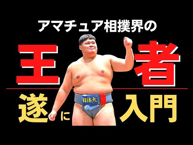 アマチュア横綱・中村泰輝！遂に幕下10枚目から大相撲デビュー！【大相撲】