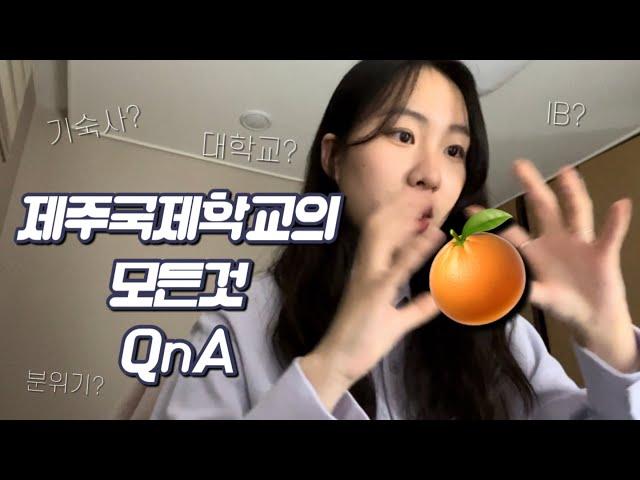 제주국제학교 이 영상 하나로 끝 | Ep. 24 jeju international school QnA 