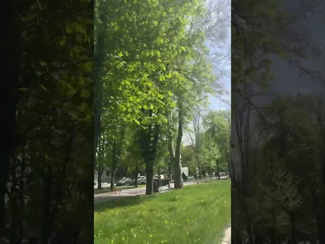 ️Доброго ранку!#VinTime_Вінниця #Вінниця #Україна