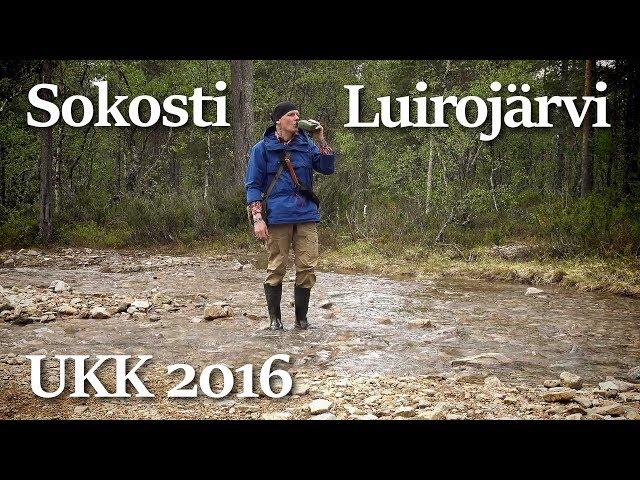 Lapin vaellus alkukesällä 2016 | Urho Kekkosen kansallispuisto