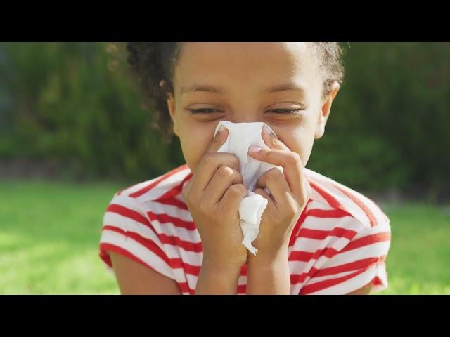 Pollen | KidBits Asthma | Cook Children's