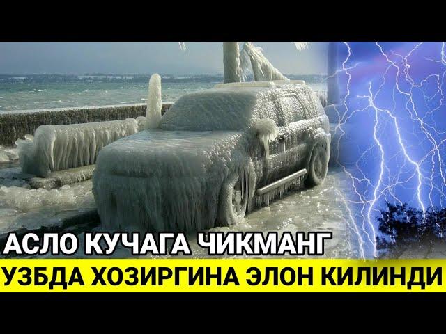 ДАХШАТ! ШОШИЛИНЧ УЗДА КУЧАГА ЧИКМАНГ