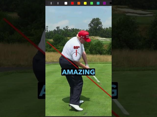 PSA: Donald Trumps golf swing is pretty good!