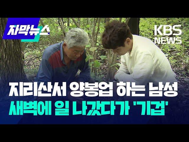 지리산서 양봉업 하는 남성…새벽에 일 나갔다가 '기겁' / KBS 2024.07.12.