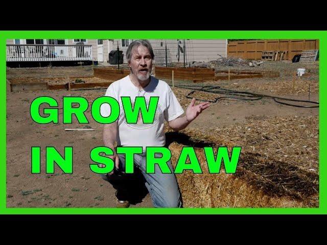 Start a Straw Bale Garden (Complete How-to)