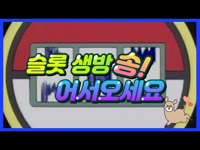 슬롯 실시간