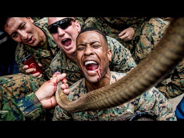 US Marines Reaction to Snake Blood! Jungle Survival Training in Indonesia