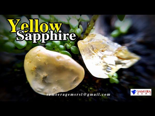 CEYLON NATURAL YELLOW SAPPHIRE ROUGH GEMSTONES | SAMEERA GEMS