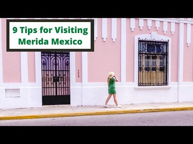 9 Tips for Visiting Merida Mexico