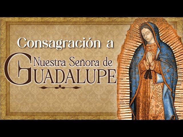 Consagración a Nuestra Señora de Guadalupe con el Padre Javier Marín