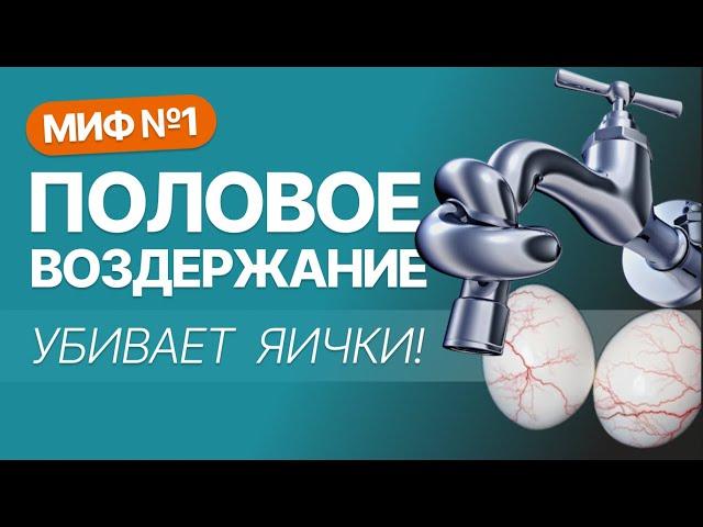 Половое воздержание и мужское здоровье. Миф #1 воздержание ухудшает работу яичек