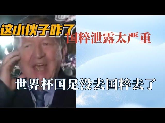 国粹泄露的太严重！世界杯国粹成通用语，中国球迷买票去现场骂人