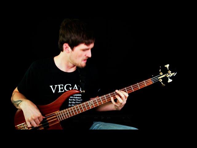 Rage Against The Machine - Take The Power Back (Bass Cover)