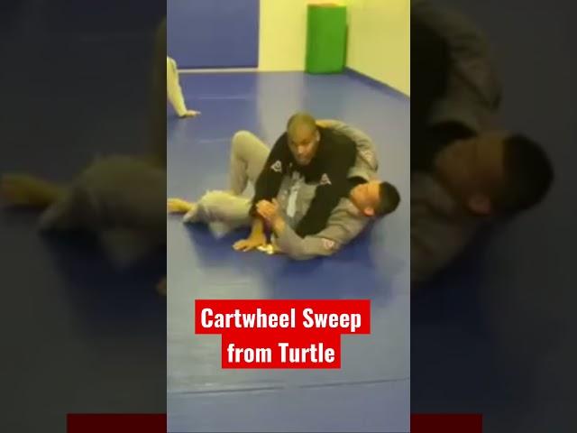 Cartwheel Sweep From Turtle