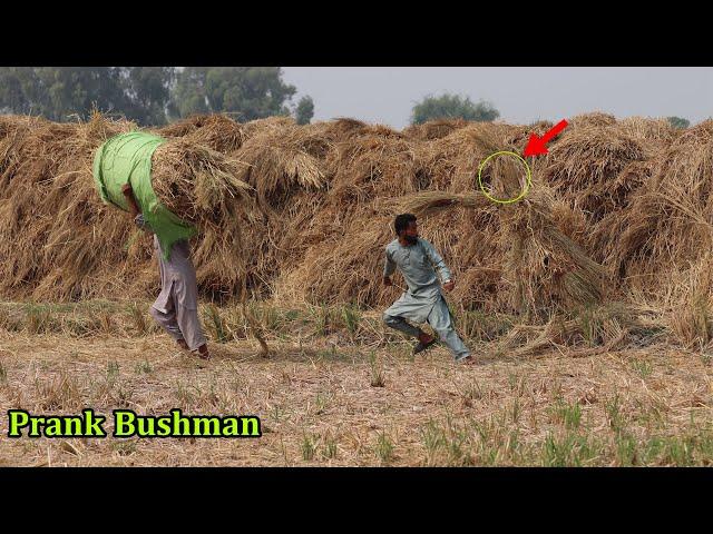 Best Of Laughing Bushman Prank 2022 !! New Top Reaction Bushman Real Funniest Video | Pendo Brand Tv