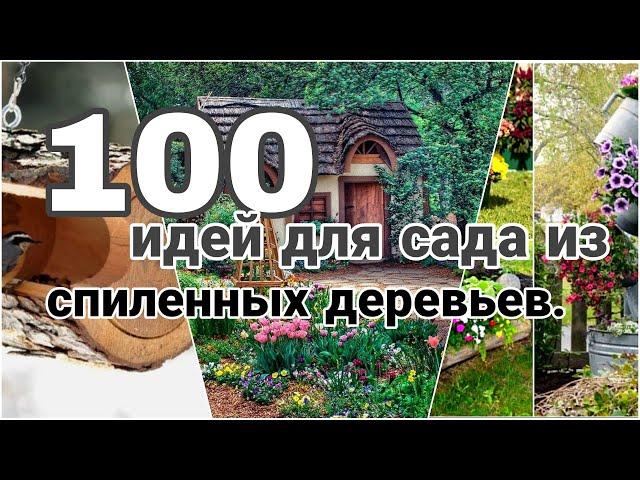 100 идей для сада из спиленных деревьев.