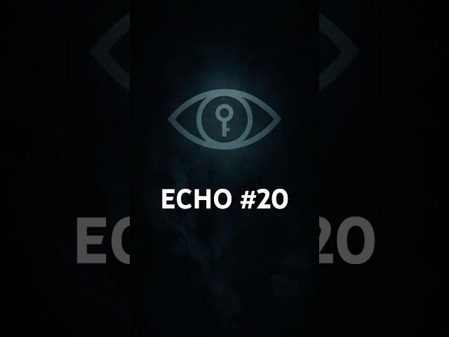 ECHO #20｜You Didn’t Start It. But You Finished It. #syntax #motivation #command