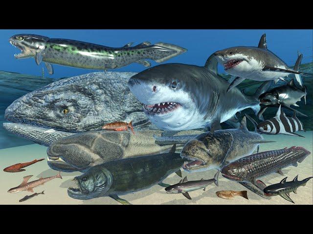 Extinct Fish Size Comparison | Real Scale 3D Animation | Realistic World Data