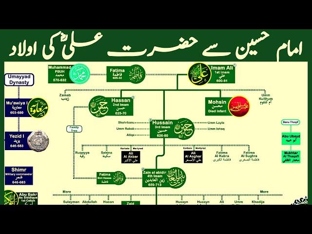 Family Tree of Hazrat Ali | Lineage of Imam Hussain | Nasheed by @calmislamicmusic