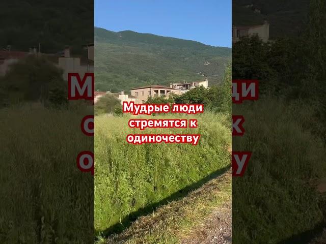 Мысли в слух #мысливслух #мысли #мудрость #