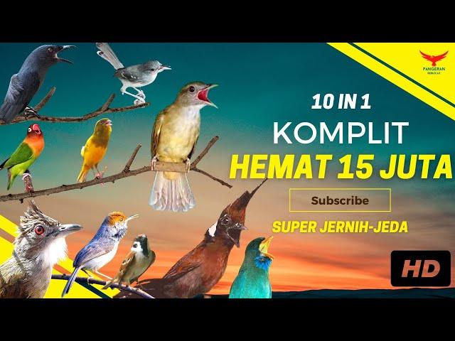 INI BEDA‼️ SEMUA Ada DISINI️HEMAT 15 JUTA (Kompilasi Masteran)