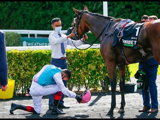 ENABLE, The Queen of Turf