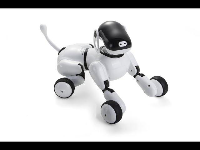 SETUCY AI Smart Robotic Dog Video