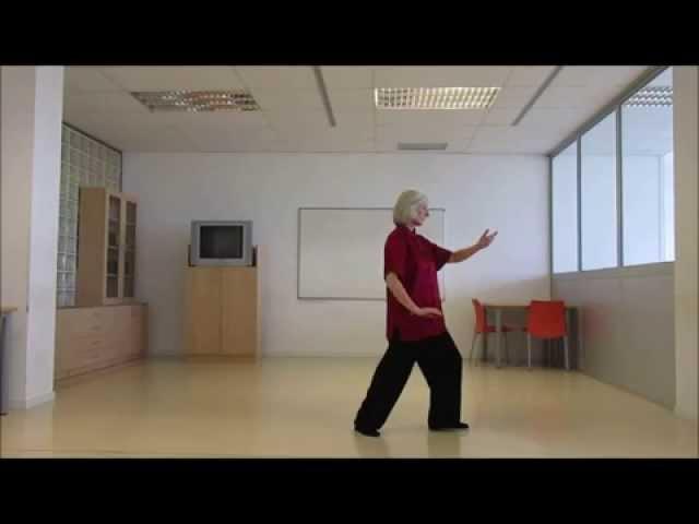 Tai chi 8 (10) Form Yang