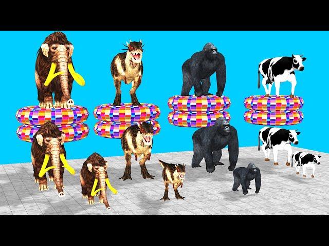 Choose The Right Mystery Obstacles With Gorilla cow cartoon mammoth elephant dinosaur animal games