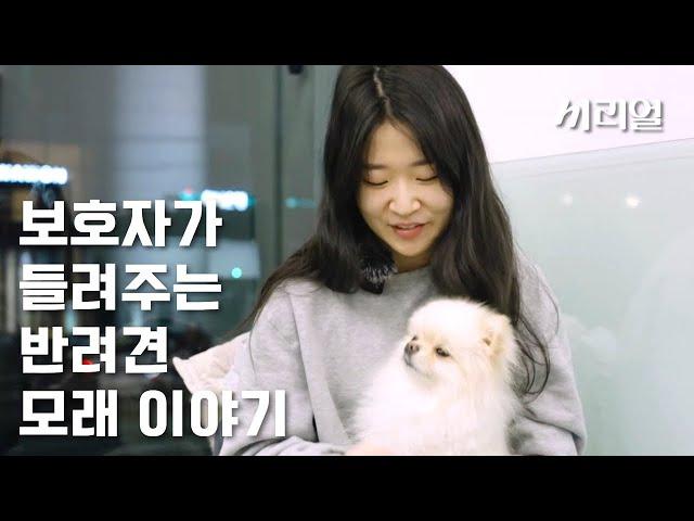 보호자가 들려주는 반려견 모래는 어떤 존재일까. (강아지 건강검진 편)
