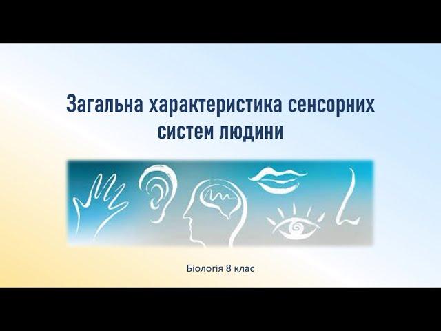 Біологія людини. Загальна характеристика сенсорних систем