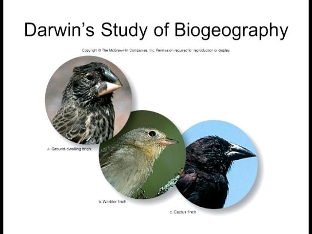Biology 1010 Lecture 16 Evolution