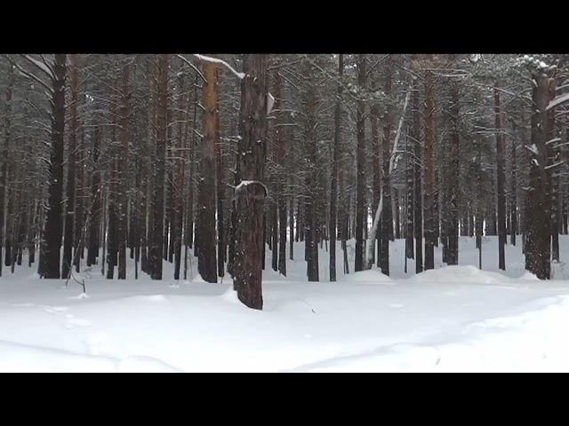 Вспоминаю старые песни. Зима.