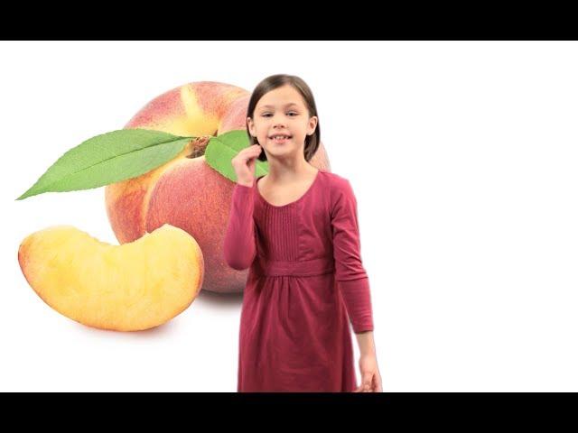 ASL Food Song Lesson for Kids - Learn how to sign Foods with Fireese