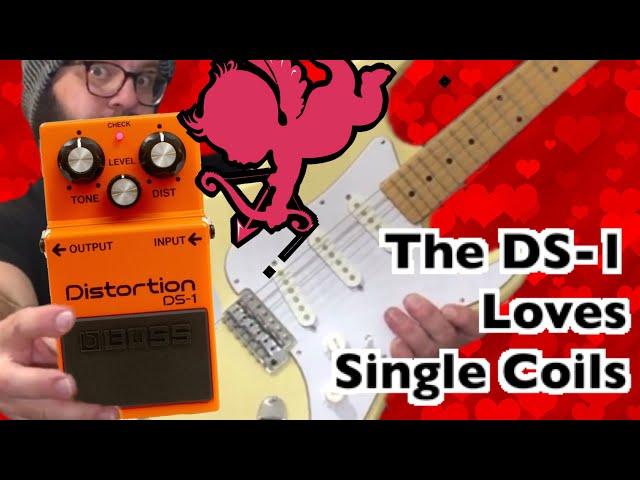 The DS-1 LOVES Single Coil Pickups