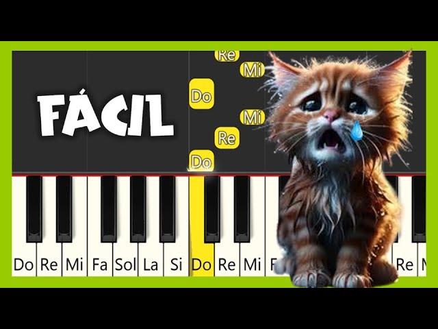 Miau miau miau - MIAW MIAW MIAW TIKTOK SAD SONG - Tutorial Piano Fácil - Easy Piano