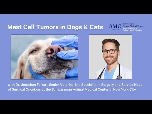 Mast Cell Tumors in Dogs and Cats