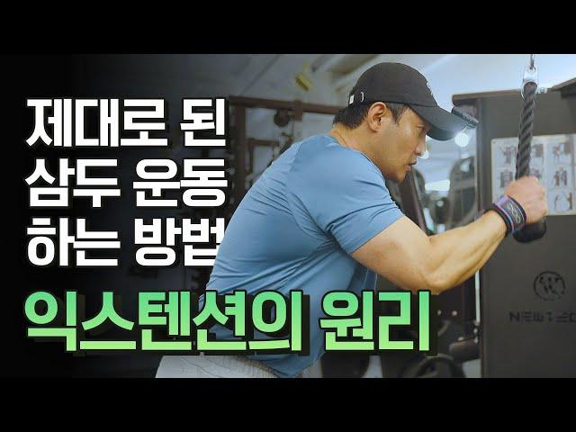 이 정도는 알고 해야죠ㅣ삼두(팔) 익스텐션의 원리