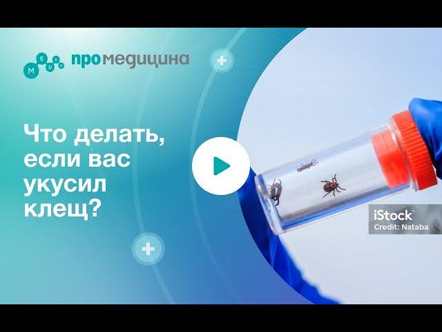 Что делать если вы обнаружили у себя на теле клеща?