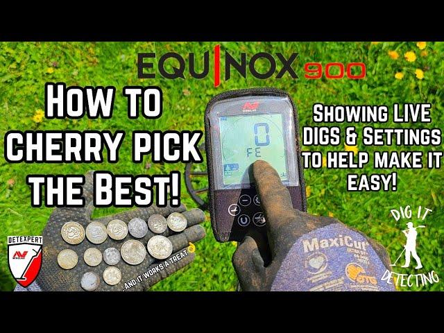 EQUINOX 900 Best Settings To Find Silver Coins & Rings! Avoiding The Trash