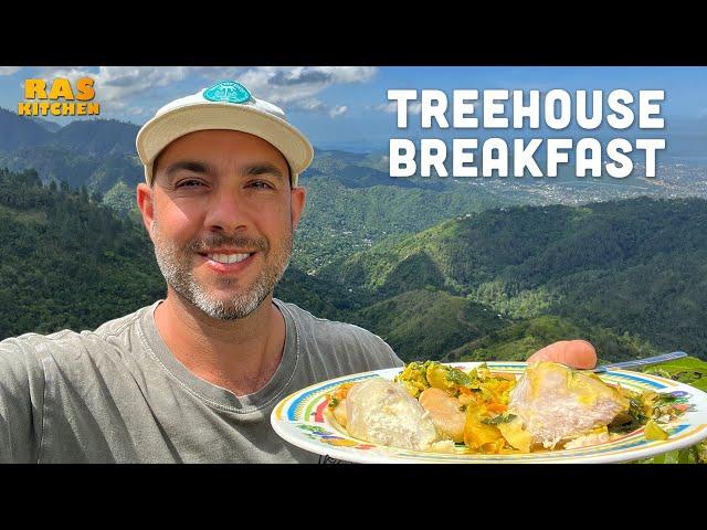 Treehouse Breakfast Review in the Mystical Blue Mountains!